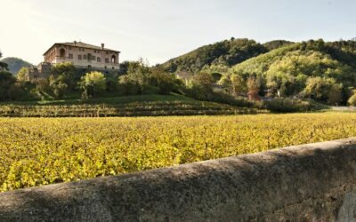 FAI-VILLA DEI VESCOVI “Festa della Zucca e dei Frutti Antichi”